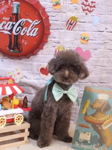 20230921きょうのちゃん